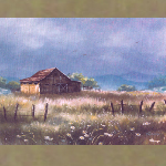 kendra-burton-dvd-barn-pp